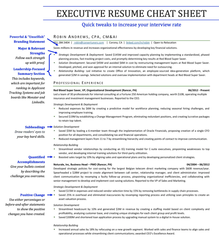 executive resume sheet show in image